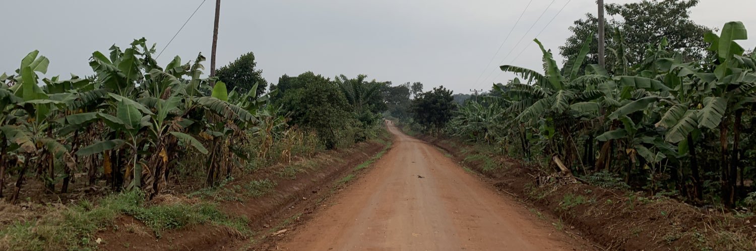 Dominik Biesalski banner