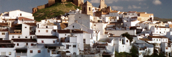 Ayto_alora Profile Banner