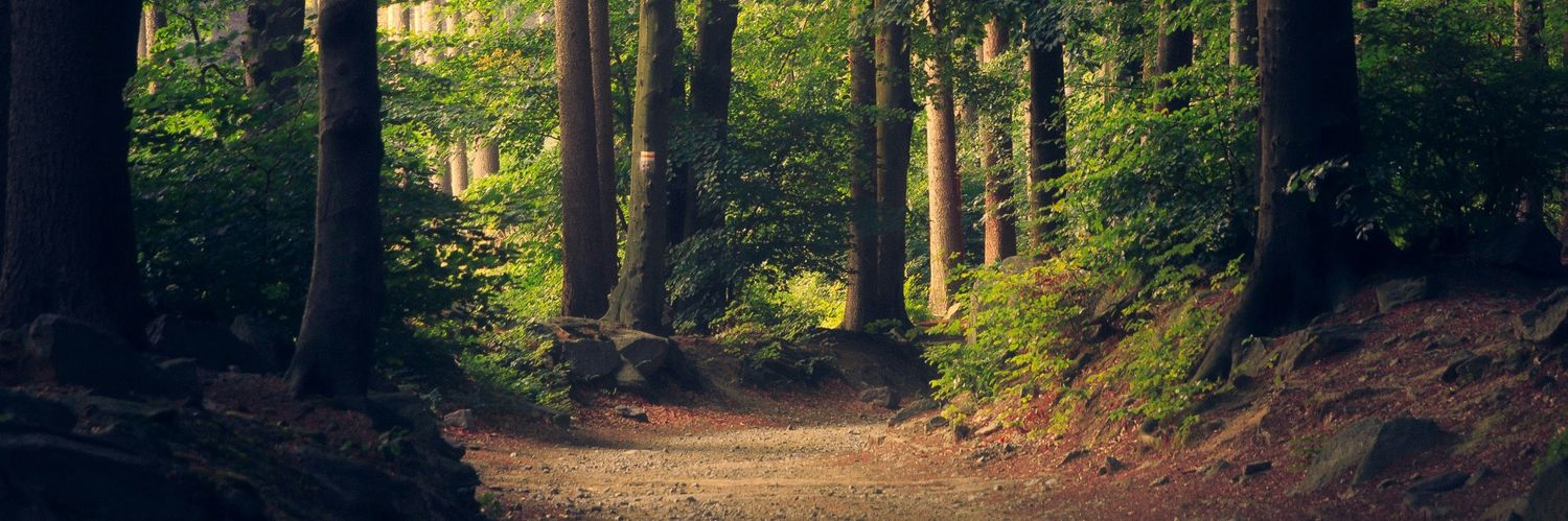 The Em-pire 🖤 banner