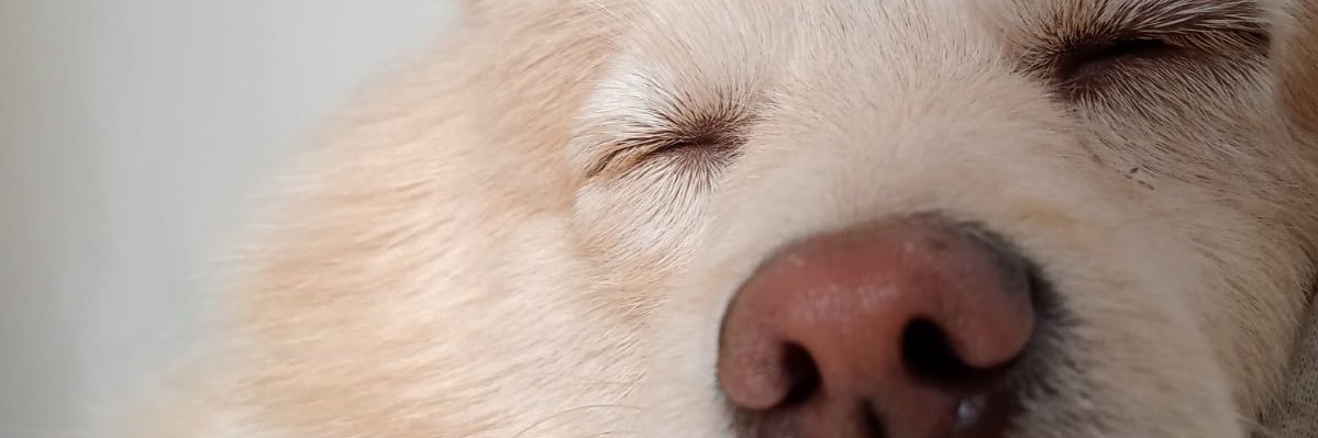 EJVELS's profile banner image