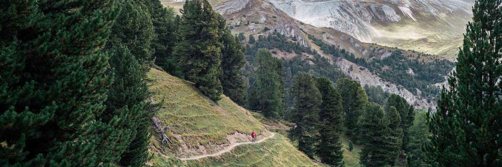 OutdoormindMag's profile banner image