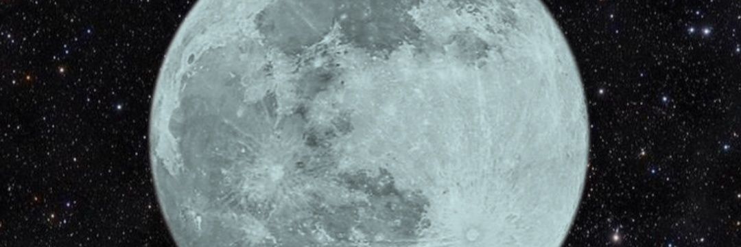 抹茶(お取引用) banner