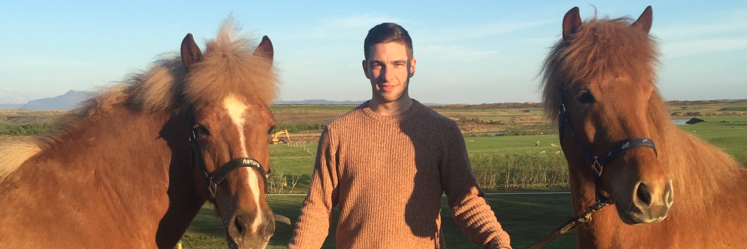 SveinnAronSveinsson banner