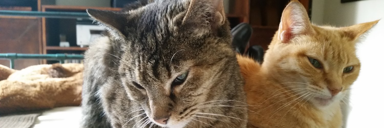 Enrique Cossich banner