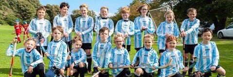 Strathkelvin Shinty Club banner