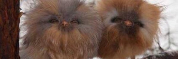 PaulD12a Profile Banner