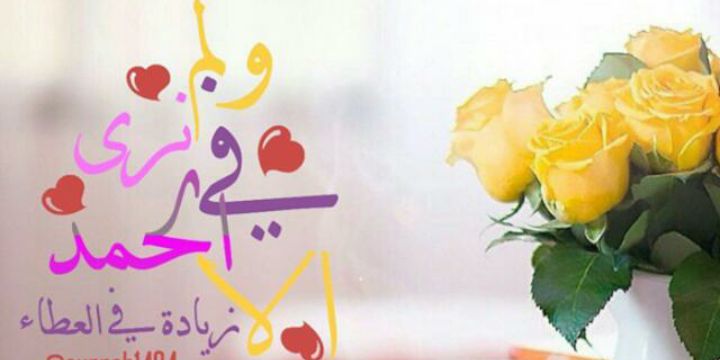 تويتات دين ودنيا♡ banner