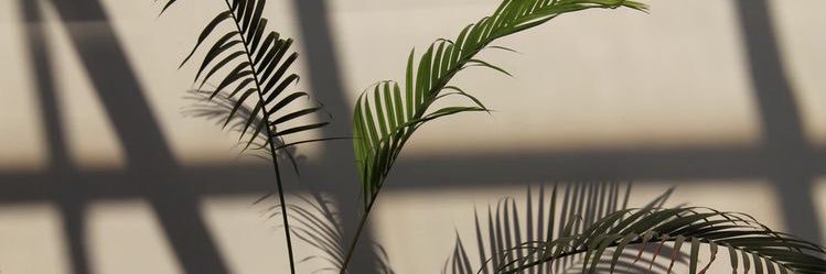 MuttinLife_'s profile banner image