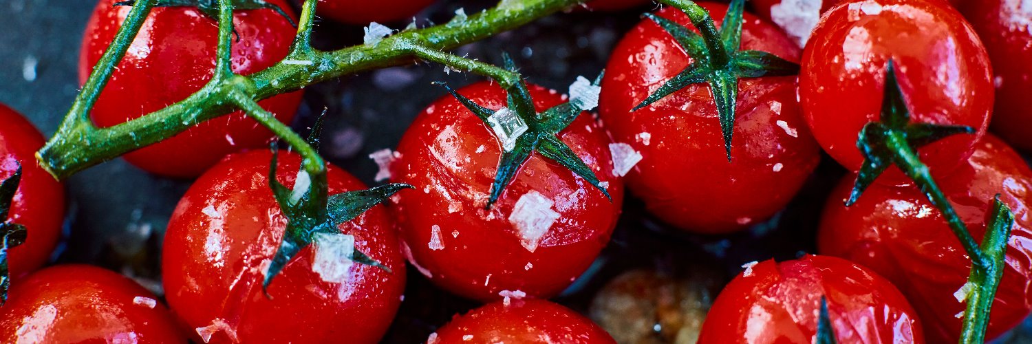 Maldon Salt Co. banner