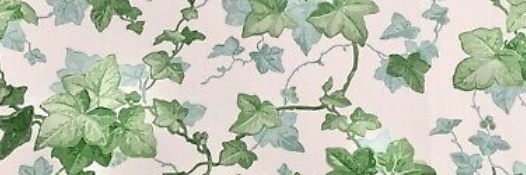 MaudDumpling's profile banner image