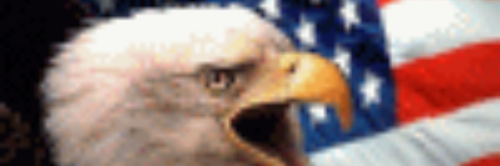 calsigg's profile banner image
