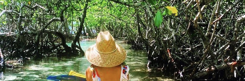 MariaTPerez's profile banner image