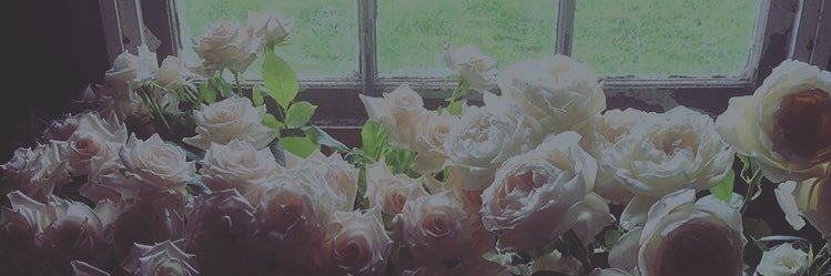 jodi_k1's profile banner image