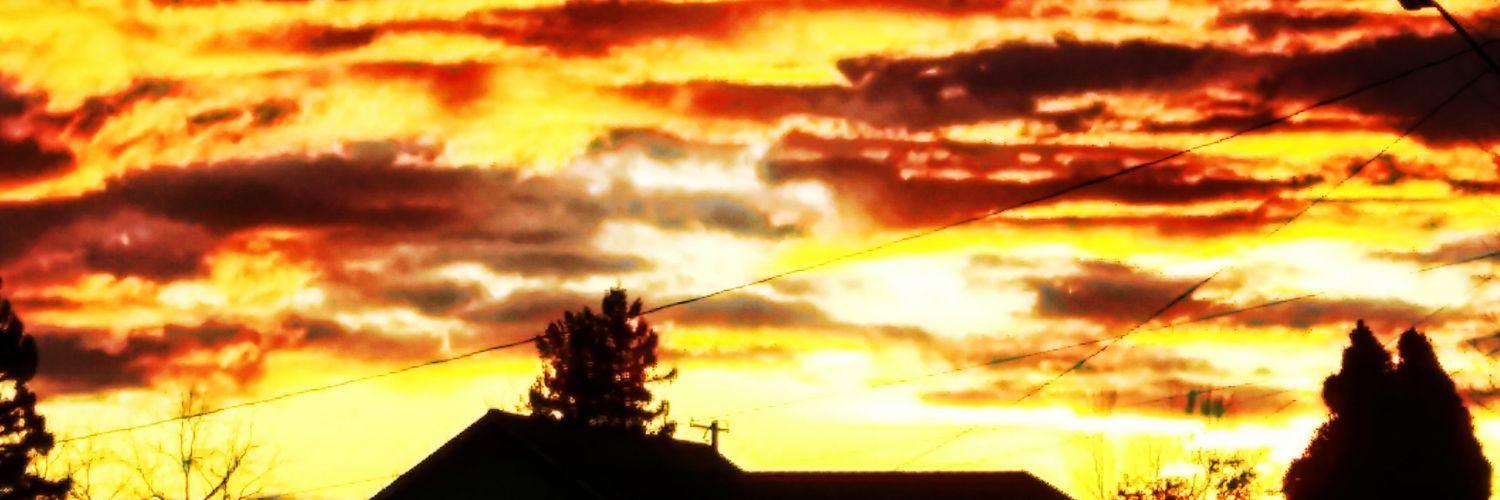 calispringrose's profile banner image