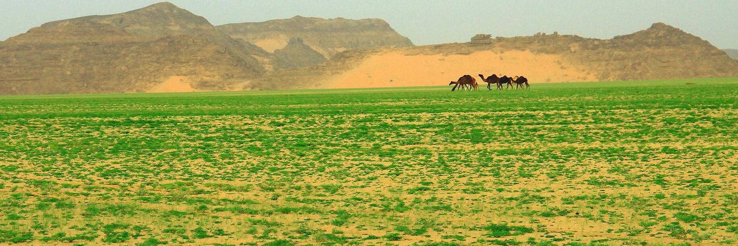 عويد محمدالمطرفي (بعيد الهقاوي) banner