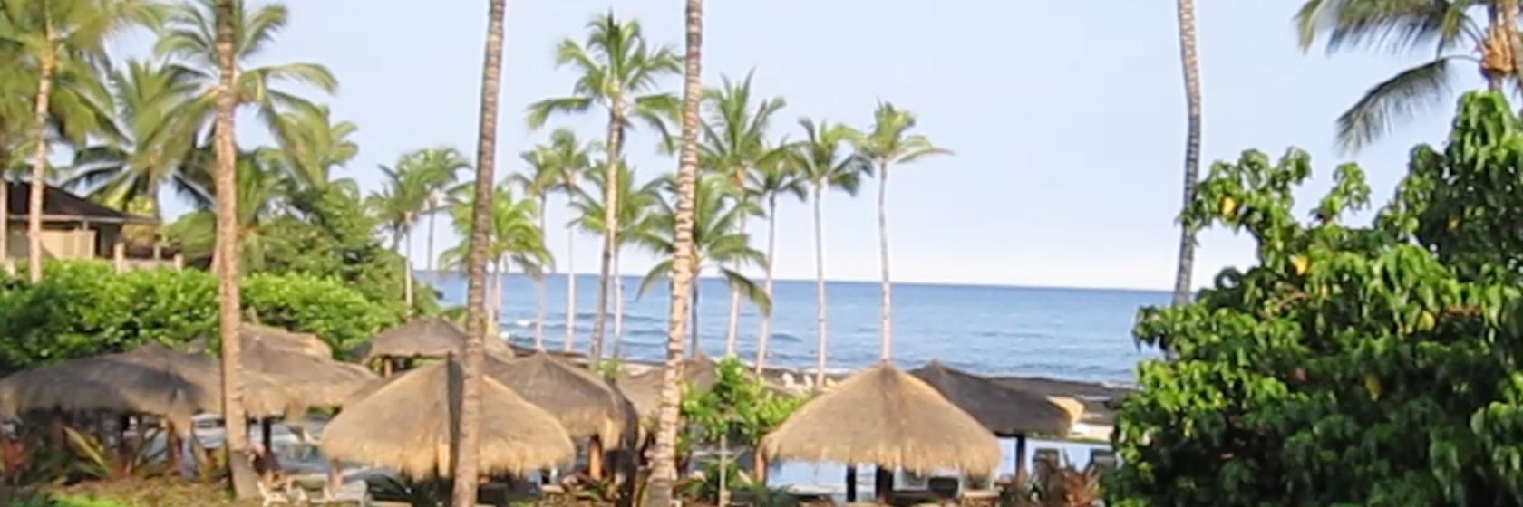davidlangMSE's profile banner image