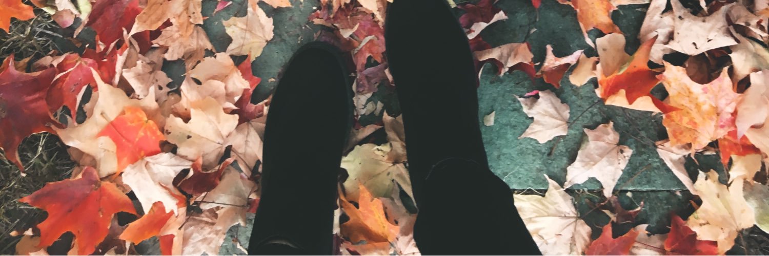 dani_b0n's profile banner image