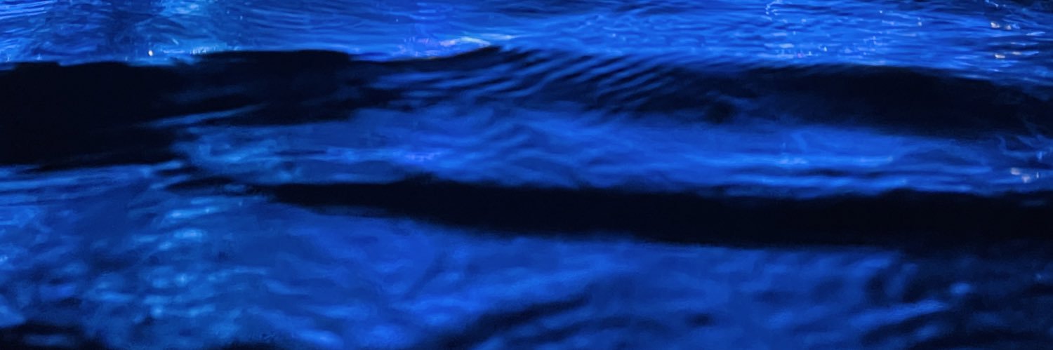 Mustafa Shaib banner