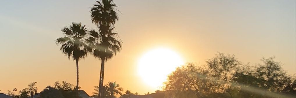 TheMrs4433's profile banner image