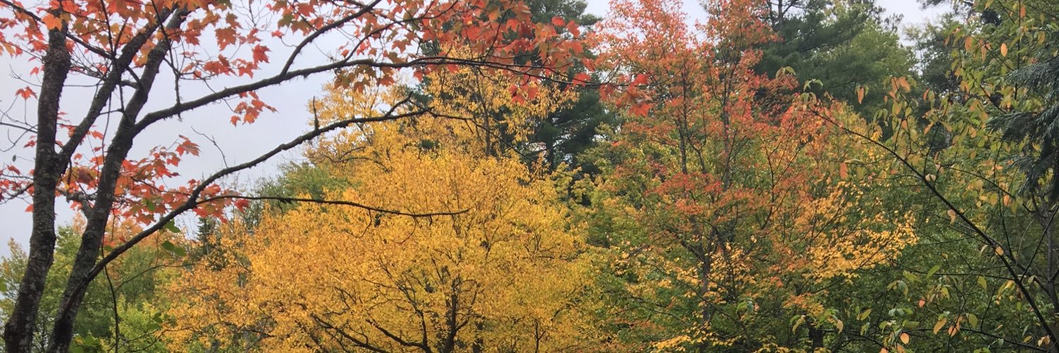 Ebehnkee's profile banner image