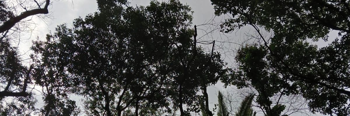 EvaSerranoH's profile banner image