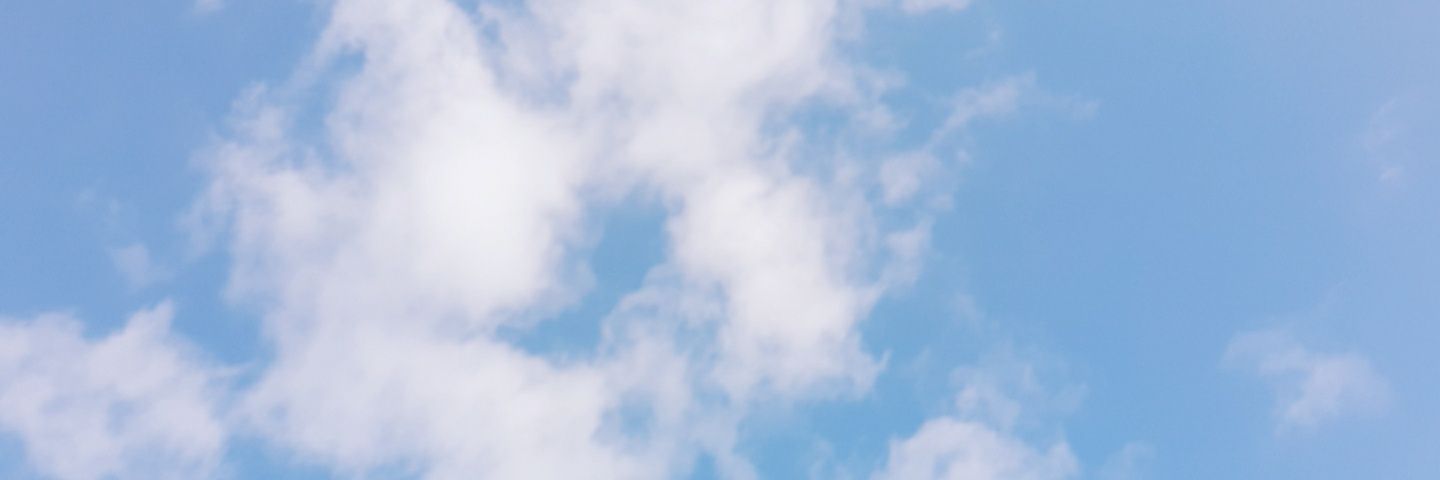 annjean1's profile banner image