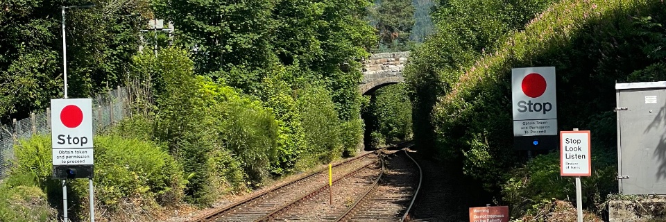 🚂🏳️‍🌈Meowty McFly banner