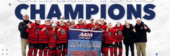 Palmyra Black Knights banner