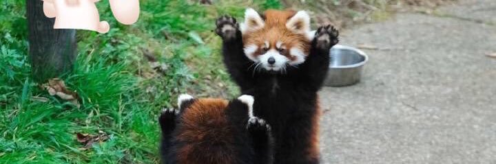 Mumin🤺⛰️🕌🏗️ banner