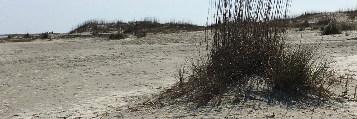brantwlodek1's profile banner image