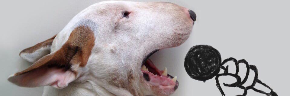 ValiaNehta's profile banner image