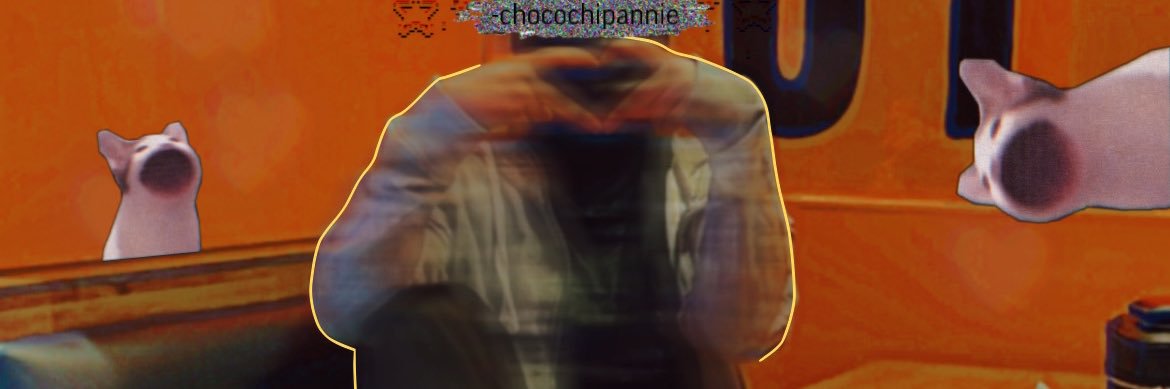 ChocoChipAnnie's profile banner image