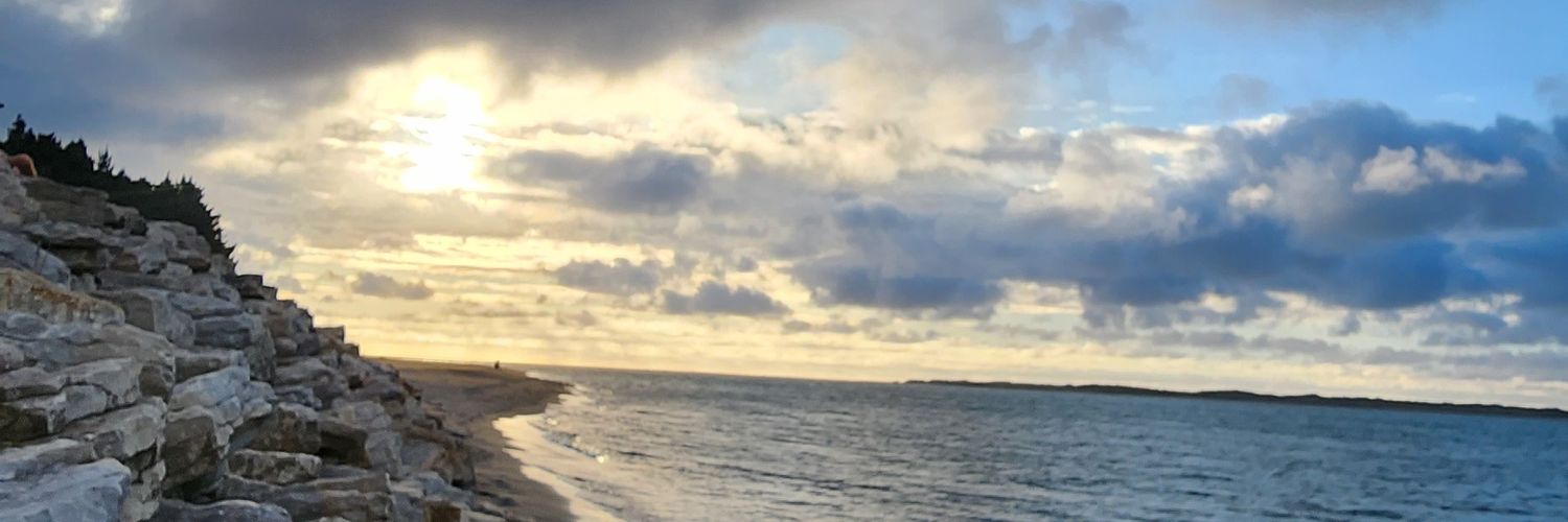 soseesays's profile banner image
