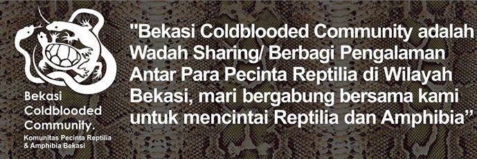 Bcc_Bekasi's profile banner image