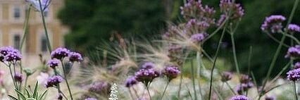 Debz banner