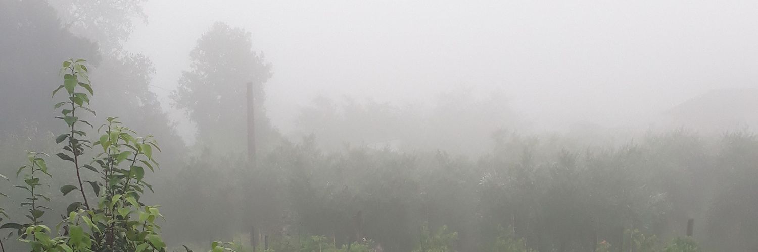 MarcoNardone3's profile banner image