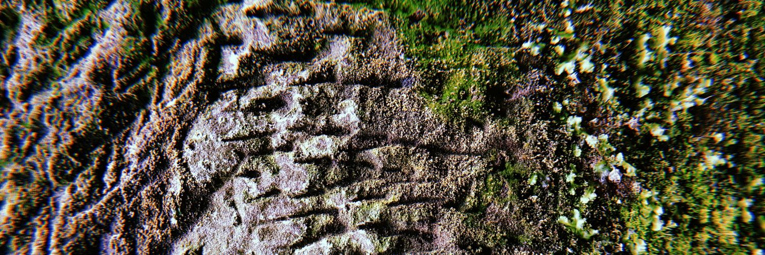 Matthew Bridson banner