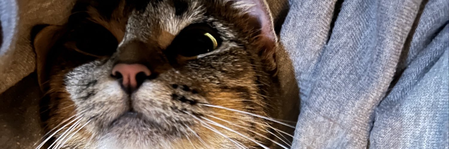 allemaster0's profile banner image
