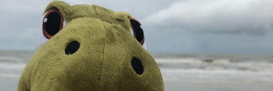 Giio_Pinheiro's profile banner image