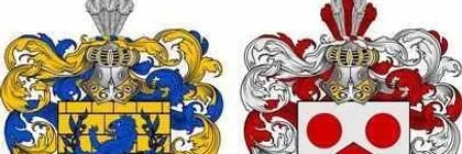 Dr. Darius J Whitson HIS banner