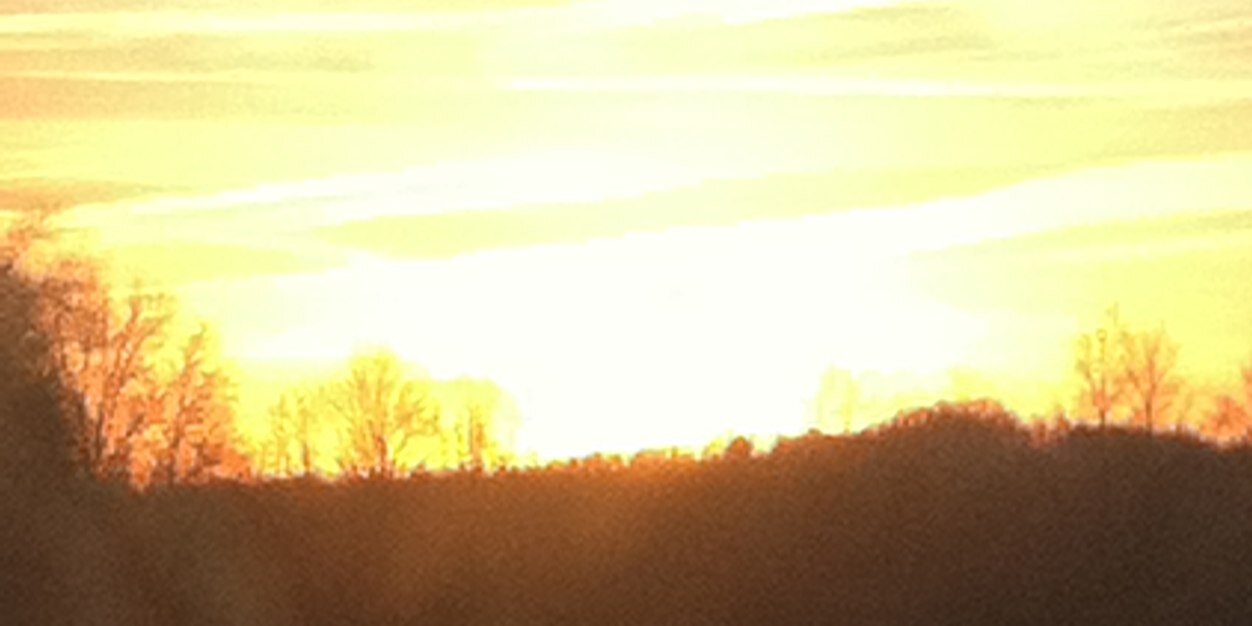chaney_taylor's profile banner image