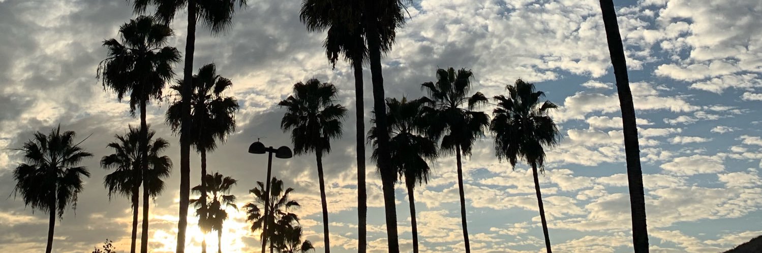 rafaelaroav's profile banner image