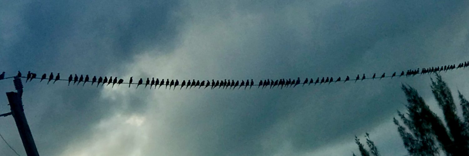 Ashley Pond V banner