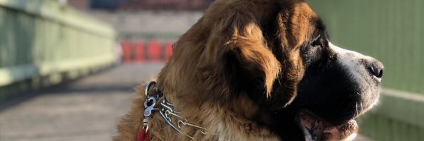 benjayala Profile Banner