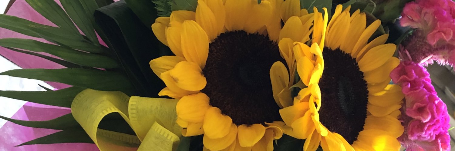 FPiatanesi's profile banner image