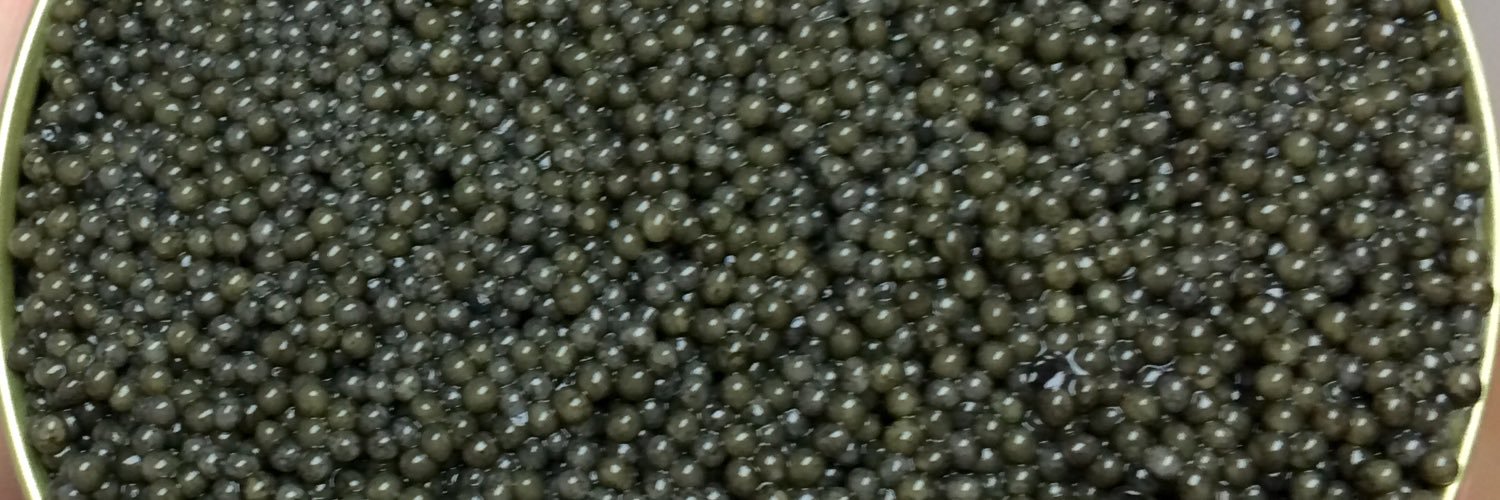 Laban Ray DeFriese banner