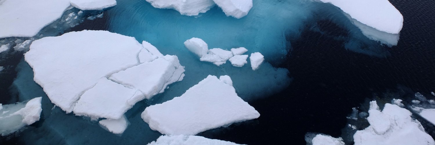 biodiversityDS. banner