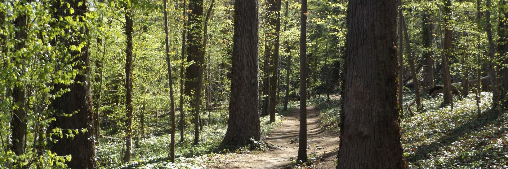 Rescue Zoo...Don’t Hate, Vaccinate! banner