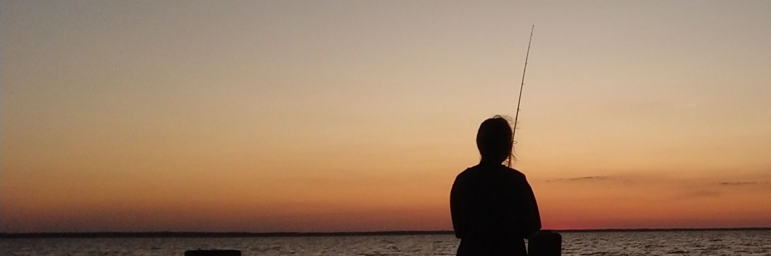 FaithLee15's profile banner image