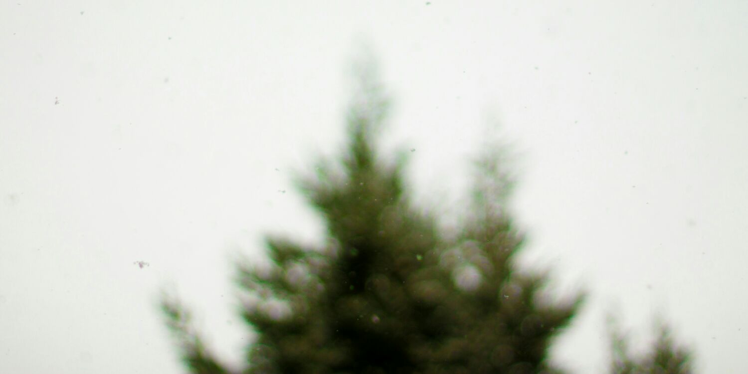 dadman_me's profile banner image